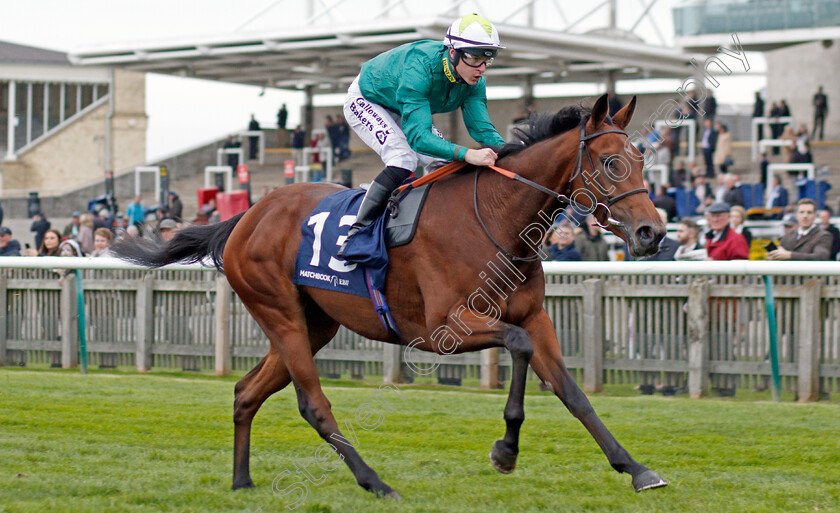 Trefoil-0006 
 TREFOIL (Richard Kingscote) wins The Matchbook EBF Future Stayers Novice Stakes
Newmarket 23 Oct 2019 - Pic Steven Cargill / Racingfotos.com