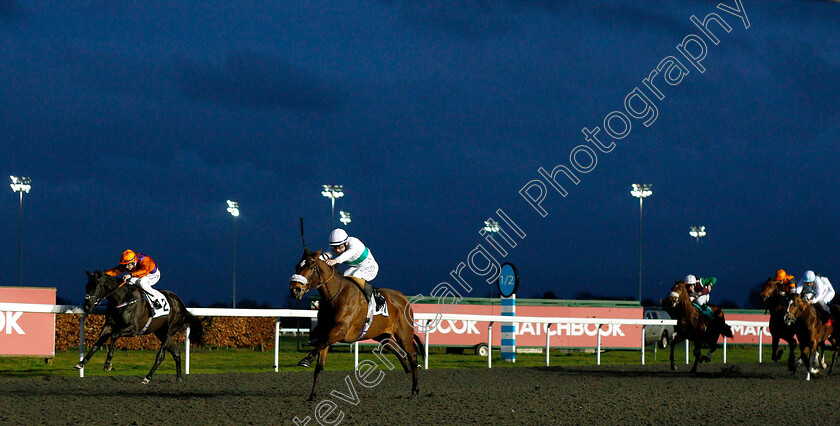 I m-Available-0001 
 I'M AVAILABLE (Oisin Murphy) wins The Matchbook Casino Novice Stakes Div1
Kempton 6 Mar 2019 - Pic Steven Cargill / Racingfotos.com