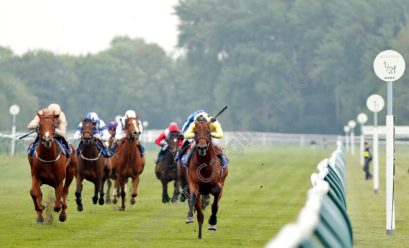 Roseman-0001 
 ROSEMAN (Andrea Atzeni) beats DEEBEE (left) in The Join Racing TV Now Novice Stakes Div2
Nottingham 30 Apr 2019 - Pic Steven Cargill / Racingfotos.com