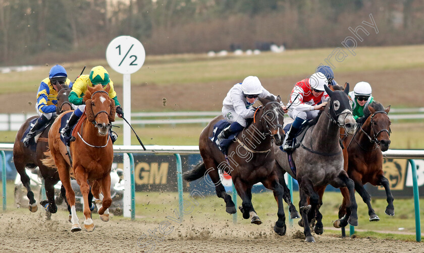 Epsom-Faithfull-0005 
 EPSOM FAITHFULL (centre, Paddy Bradley) beats ARCTICIAN (right) in The Best Racing Odds Guaranteed At Betmgm Handicap
Lingfield 20 Jan 2024 - Pic Steven Cargill / Racingfotos.com