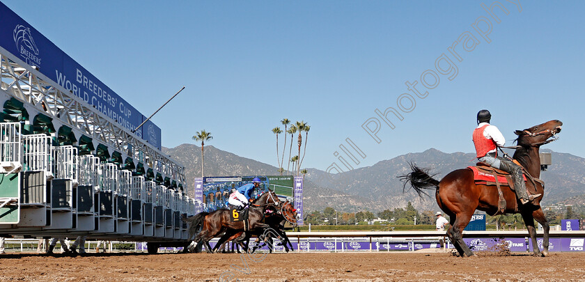 Santa-Anita-0006 
 ABSOLUTE WEAPON breaks with the field before winning Allowance Optional Claimer on the eve of the Breeders' Cup
Santa Anita 31 Oct 2019 - Pic Steven Cargill / Racingfotos.com