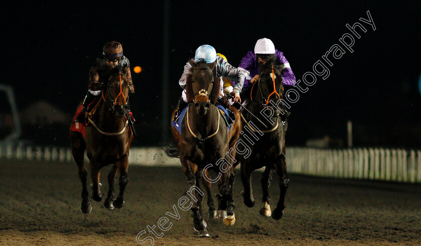 Hassaad-0002 
 HASSAAD (Hollie Doyle) beats FEN BREEZE (right) in The 32Red Casino Fillies Handicap
Kempton 29 Jan 2020 - Pic Steven Cargill / Racingfotos.com