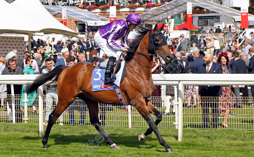 Denmark-0001 
 DENMARK (Ryan Moore)
York 26 Aug 2023 - Pic Steven Cargill / Racingfotos.com