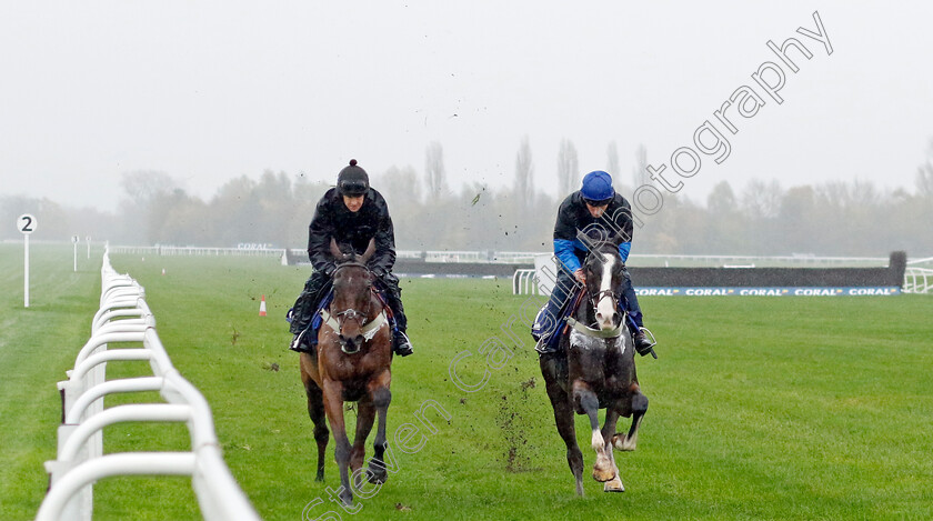 Oscar-Elite-and-Fiddlerontheroof-0003 
 OSCAR ELITE (right, Harry Kimber) with FIDDLERONTHEROOF (left, Brendan Powell) at Coral Gold Cup Weekend Gallops Morning
Newbury 15 Nov 2022 - Pic Steven Cargill / Racingfotos.com