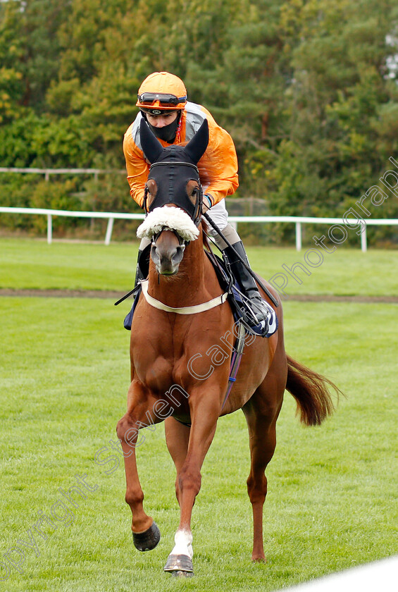 Erika-0001 
 ERIKA (Kieran O'Neill)
Lingfield 7 Sep 2020 - Pic Steven Cargill / Racingfotos.com