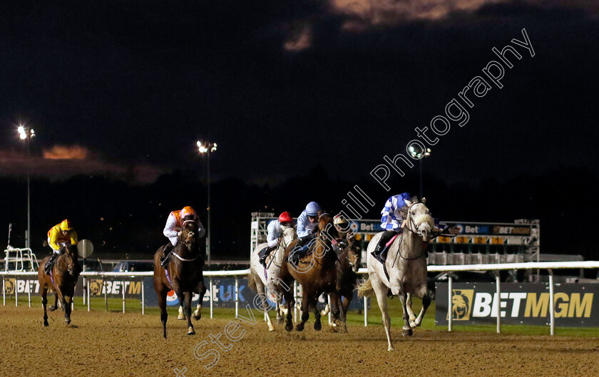 Perfect-Life-0006 
 PERFECT LIFE (Rossa Ryan) wins The Betmgm Maiden Stakes
Wolverhampton 20 Dec 2024 - Pic Steven Cargill / Racingfotos.com