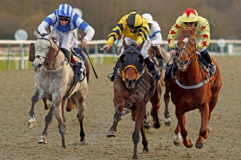 Double-Legend-0005 
 DOUBLE LEGEND (centre, Rhiain Ingram) beats LIBBRETTA (right) and ARABESCATO (left) in The Play 4 To Score At Betway Handicap
Lingfield 29 Jan 2021 - Pic Steven Cargill / Racingfotos.com