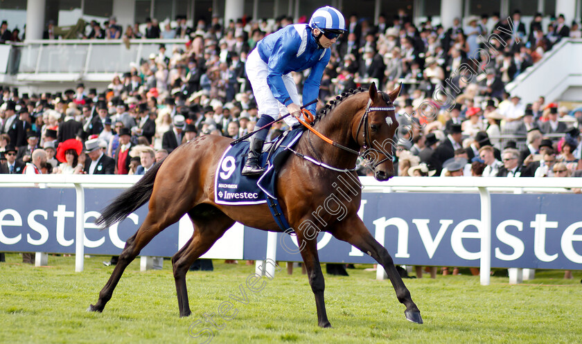 Madhmoon-0003 
 MADHMOON (Chris Hayes)
Epsom 1 Jun 2019 - Pic Steven Cargill / Racingfotos.com