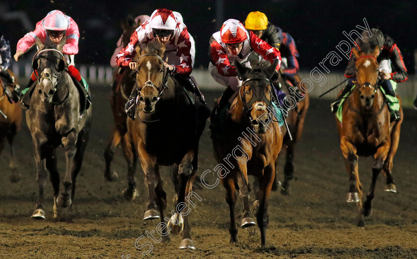 Kalamunda-0002 
 KALAMUNDA (left, Daniel Muscutt) beats NATIVE KING (right) in The North Farm Stud Handicap Div1
Kempton 2 Oct 2024 - Pic Steven Cargill / Racingfotos.com