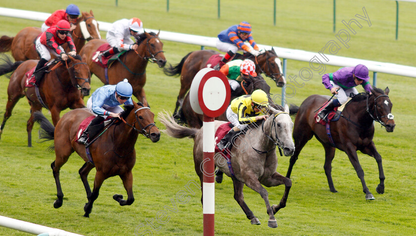 Forever-In-Dreams-0005 
 FOREVER IN DREAMS (centre, Martin Dwyer) wins The EBF British Stallion Studs Cecil Frail Stakes
Haydock 25 May 2019 - Pic Steven Cargill / Racingfotos.com