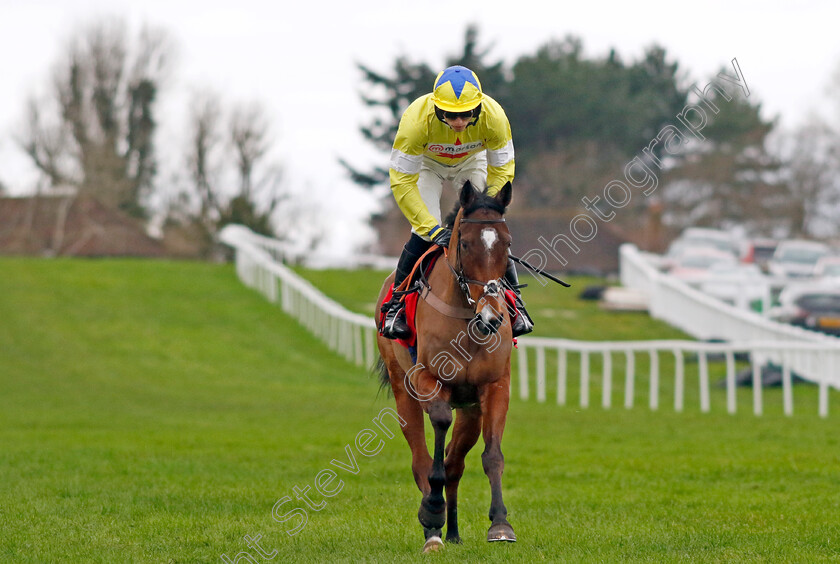 Hermes-Allen-0001 
 HERMES ALLEN (Harry Cobden)
Sandown 3 Feb 2024 - Pic Steven Cargill / Racingfotos.com