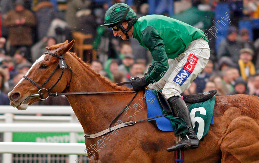 Concertista-0007 
 CONCERTISTA (Daryl Jacob) wins The Daylesford Mares Novices Hurdle
Cheltenham 12 Mar 2020 - Pic Steven Cargill / Racingfotos.com