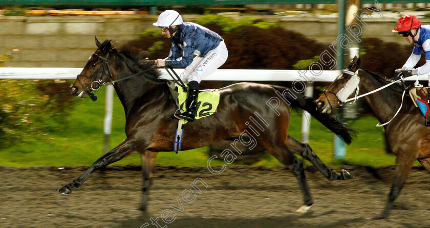 Juanito-Chico-0004 
 JUANITO CHICO (P J McDonald) wins The 100% Profit Boost At 32redsport.com Handicap
Kempton 5 Dec 2018 - Pic Steven Cargill / Racingfotos.com