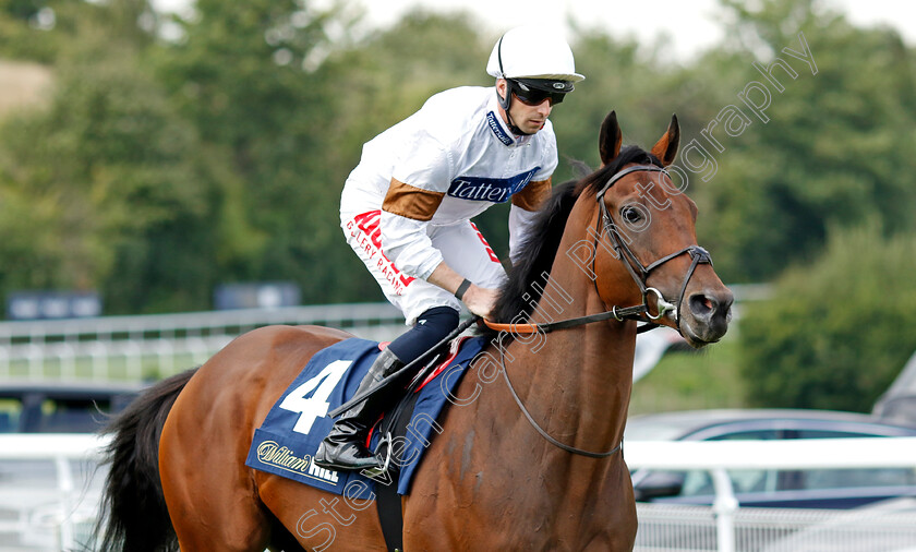 Dusky-Lord-0002 
 DUSKY LORD (Jack Mitchell)
Goodwood 27 Aug 2022 - Pic Steven Cargill / Racingfotos.com