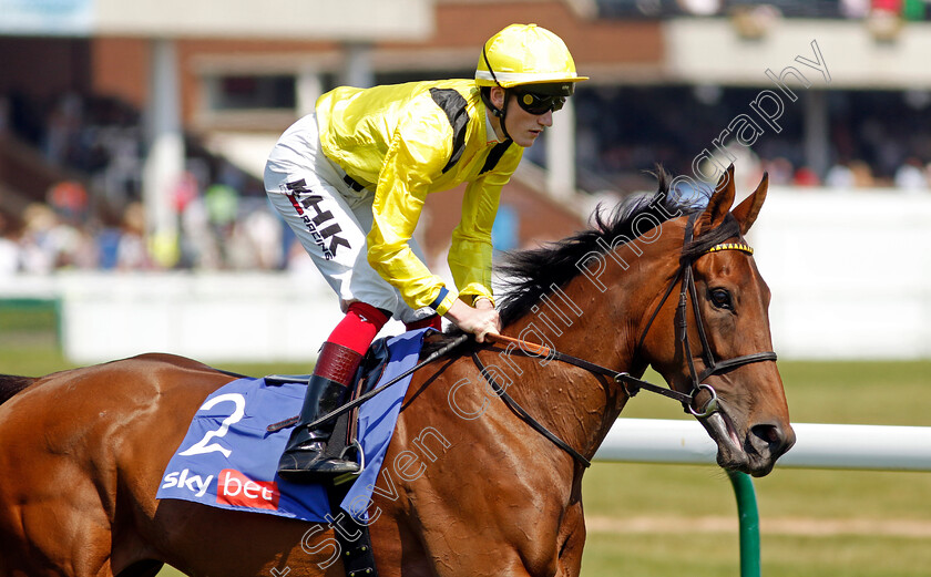 Modaara-0003 
 MODAARA (David Egan)
Haydock 10 Jun 2023 - Pic Steven Cargill / Racingfotos.com