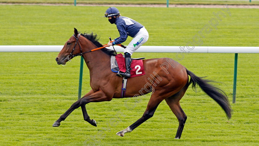 Falcon-Brook-0001 
 FALCON BROOK (Jane Elliott)
Haydock 3 Sep 2020 - Pic Steven Cargill / Racingfotos.com