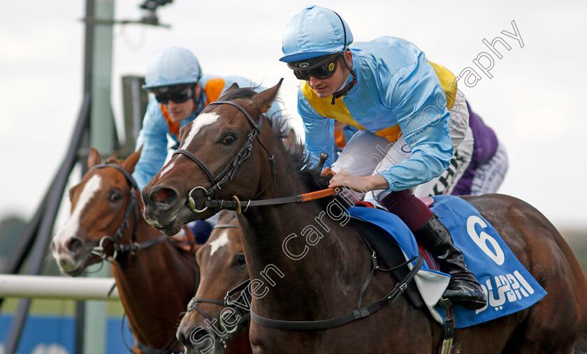 Rumstar-0001 
 RUMSTAR (Rob Hornby) wins The Newmarket Academy Godolphin Beacon Project Cornwallis Stakes
Newmarket 7 Oct 2022 - Pic Steven Cargill / Racingfotos.com