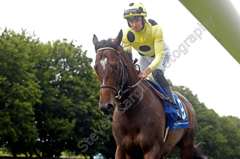 Inisherin-0001 
 INISHERIN (Tom Eaves)
Newmarket 13 Jul 2024 - Pic Steven Cargill / Racingfotos.com