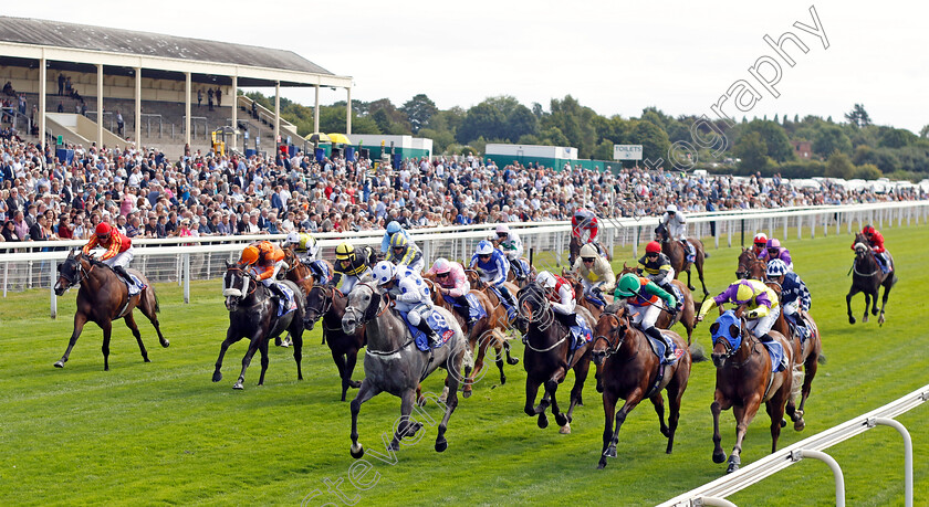 Bergerac-0001 
 BERGERAC (right, Tom Eaves) beats KING OF STARS (left) in The Sky Bet & Symphony Group Handicap
York 17 Aug 2022 - Pic Steven Cargill / Racingfotos.com