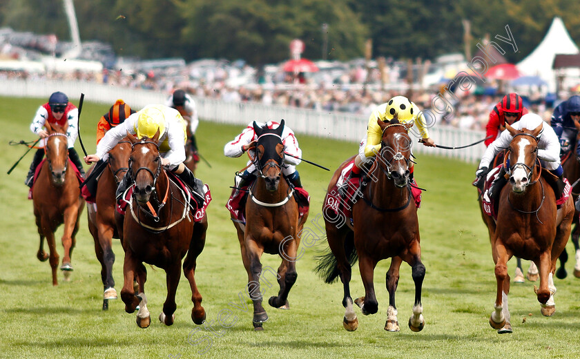 King s-Advice-0001 
 KING'S ADVICE (left, Joe Fanning) beats OUTBOX (2nd right) in The Qatar Summer Handicap
Goodwood 3 Aug 2019 - Pic Steven Cargill / Racingfotos.com