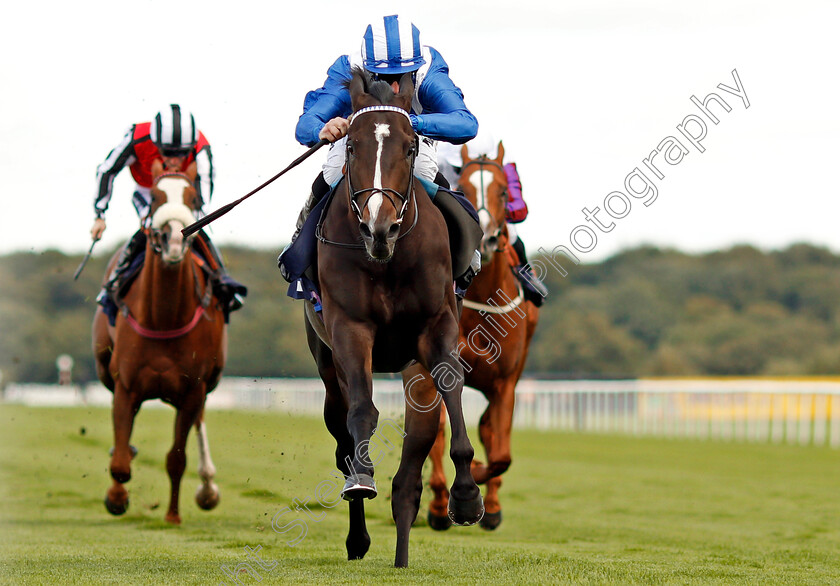 Shabaaby-0004 
 SHABAABY (Jim Crowley) wins The Irish Stallion Farms EBF Stakes Doncaster 13 Sep 2017 - Pic Steven Cargill / Racingfotos.com