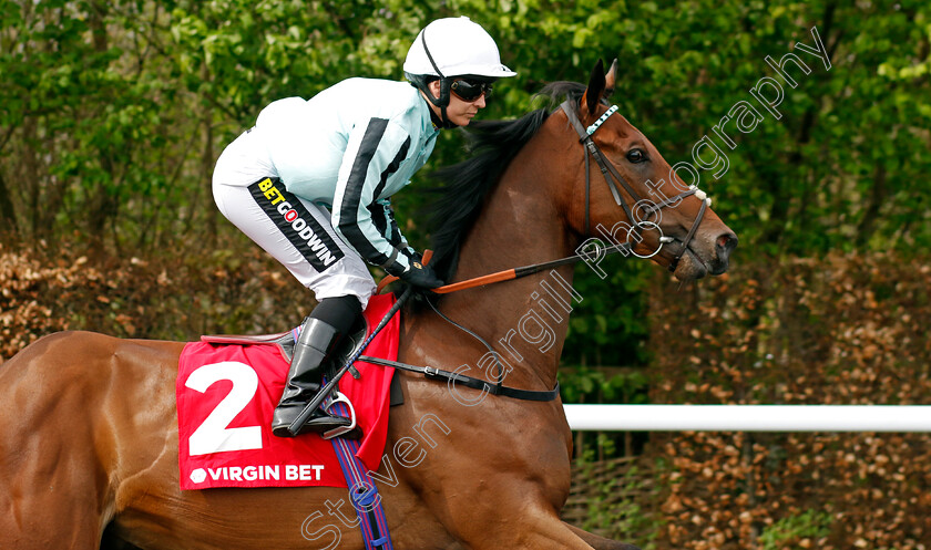 Harry-Did-0001 
 HARRY DID (Hayley Turner)
Kempton 6 Apr 2024 - Pic Steven Cargill / Racingfotos.com