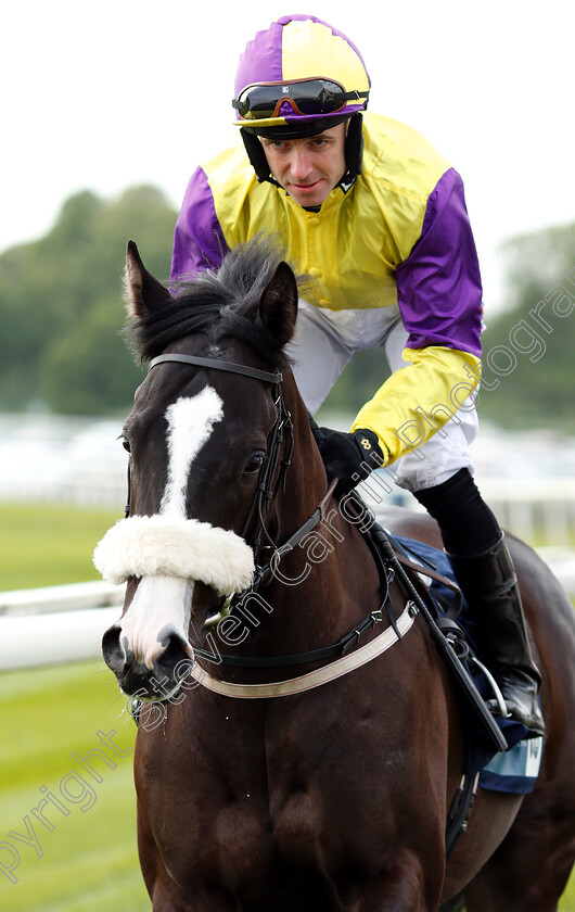 Rathbone-0001 
 RATHBONE (Tom Eaves)
York 16 May 2018 - Pic Steven Cargill / Racingfotos.com