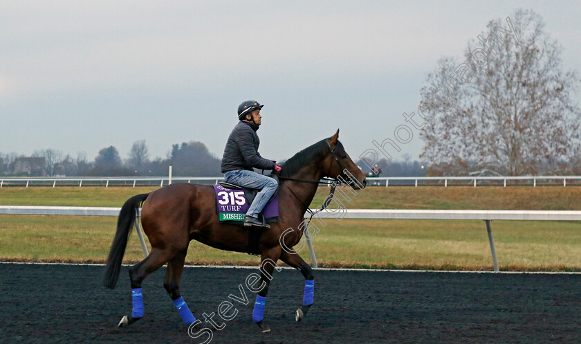 Mishriff-0001 
 MISHRIFF training for the Breeders' Cup Turf 
Keeneland USA 2 Nov 2022 - Pic Steven Cargill / Racingfotos.com