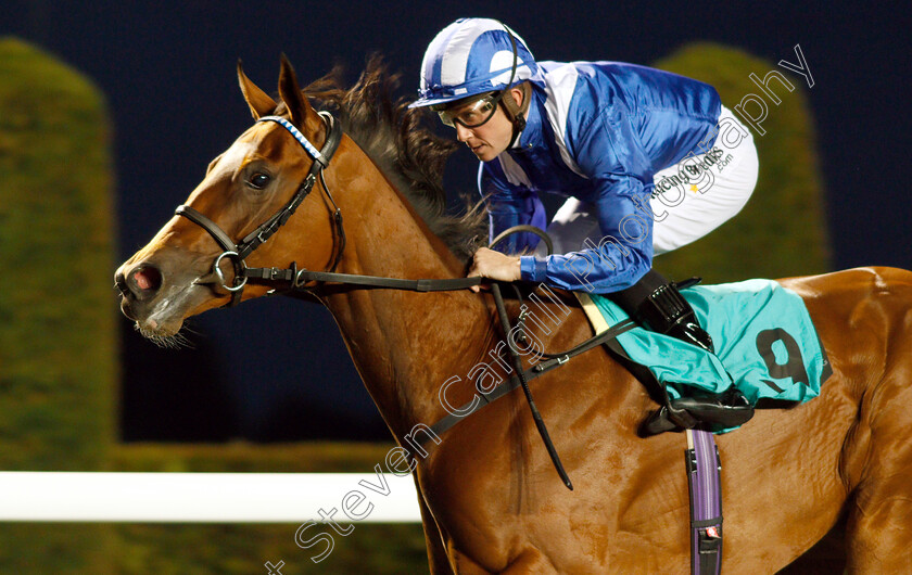 Enbihaar-0005 
 ENBIHAAR (Jim Crowley) wins The 32Red.com Novice Stakes
Kempton 18 Sep 2018 - Pic Steven Cargill / Racingfotos.com