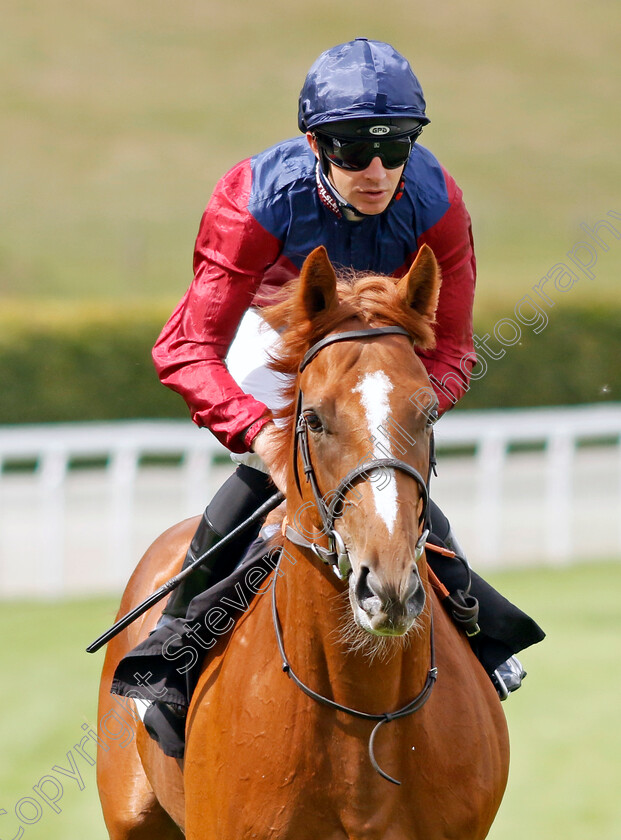 Rathgar-0001 
 RATHGAR (Charles Bishop)
Goodwood 27 Aug 2022 - Pic Steven Cargill / Racingfotos.com