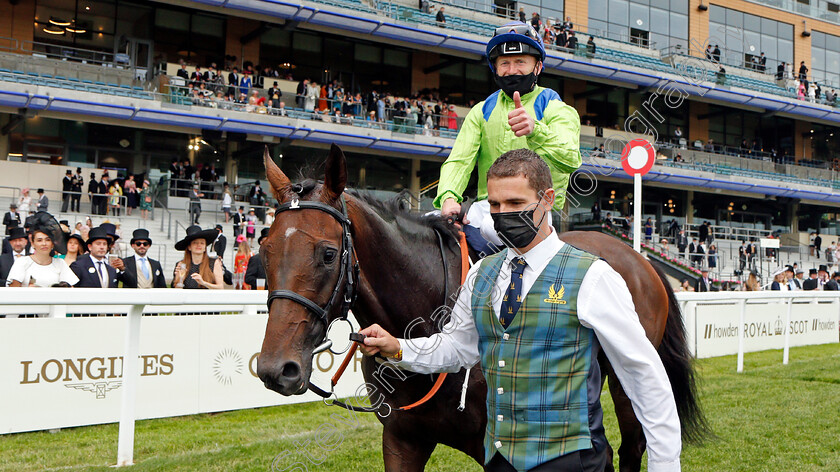 Subjectivist-0010 
 SUBJECTIVIST (Joe Fanning) after The Gold Cup
Royal Ascot 17 Jun 2021 - Pic Steven Cargill / Racingfotos.com