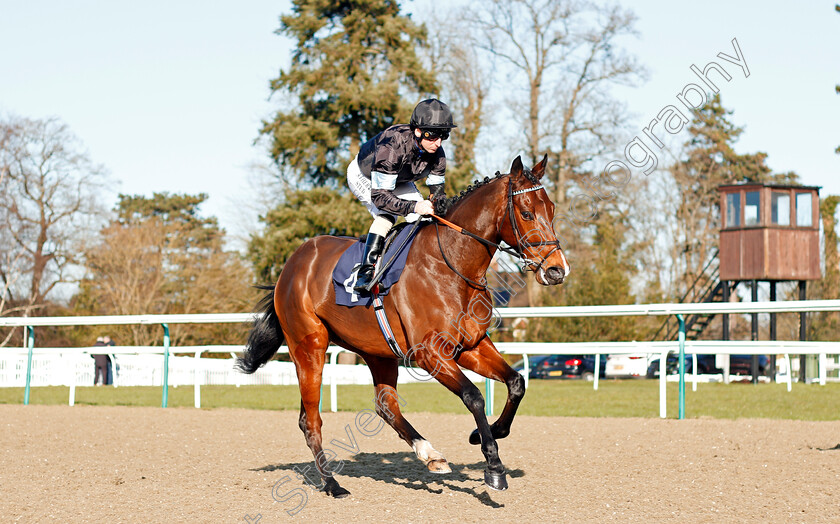 Zhui-Feng-0001 
 ZHUI FENG (Martin Dwyer)
Lingfield 8 Feb 2020 - Pic Steven Cargill / Racingfotos.com