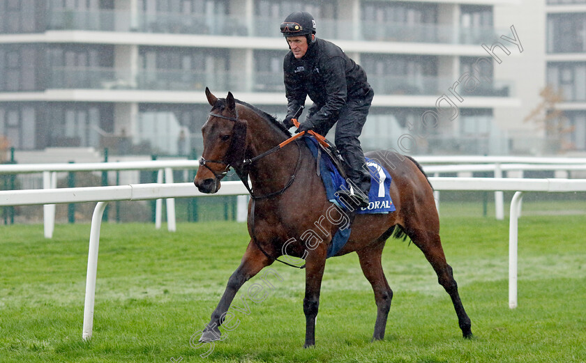 Champ-0001 
 CHAMP (A P McCoy) at Coral Gold Cup Weekend Gallops Morning
Newbury 15 Nov 2022 - Pic Steven Cargill / Racingfotos.com