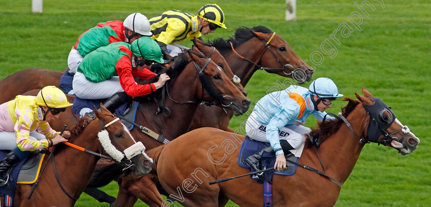 How-Impressive-0003 
 HOW IMPRESSIVE (Richard Kingscote) wins The Sea Deer Handicap
Yarmouth 20 Sep 2023 - Pic Steven Cargill / Racingfotos.com