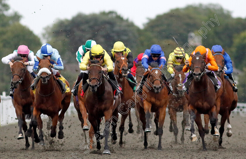 Yaroogh-0007 
 YAROOGH (Tom Marquand) wins The Unibet British Stallion Studs EBF Novice Stakes
Kempton 7 Aug 2024 - Pic Steven Cargill / Racingfotos.com