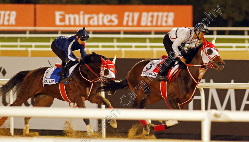 Panthalassa-and-Bathrat-Leon-0001 
 PANTHALASSA training for The Dubai World Cup ahead of BATHRAT LEON (left) training for The Godolphin Mile
Meydan, Dubai, 22 Mar 2023 - Pic Steven Cargill / Racingfotos.com