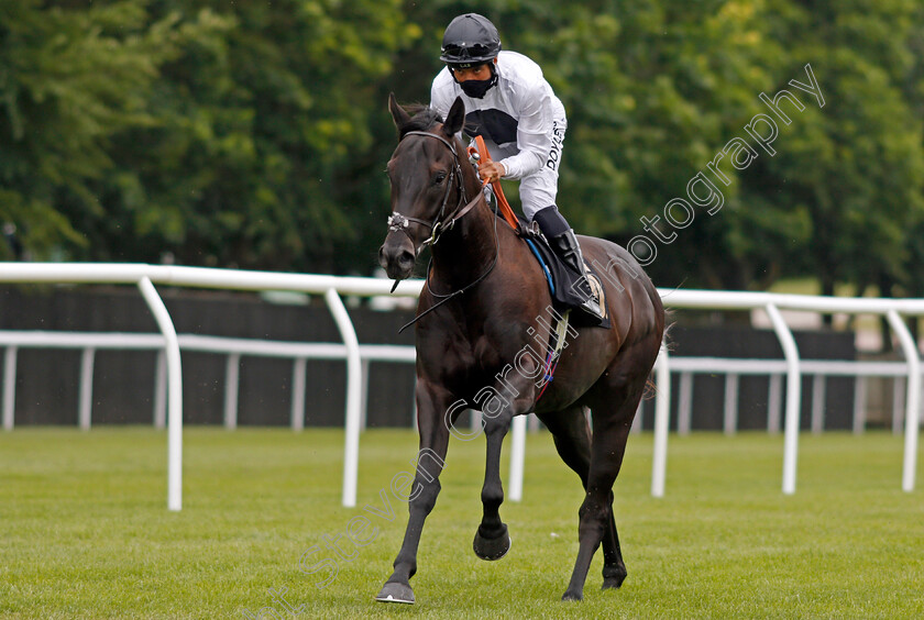 Detail-0001 
 DETAIL (Sean Levey) winner of The Black Type Accountancy British EBF Restricted Novice Stakes
Newmarket 24 Jun 2021 - Pic Steven Cargill / Racingfotos.com