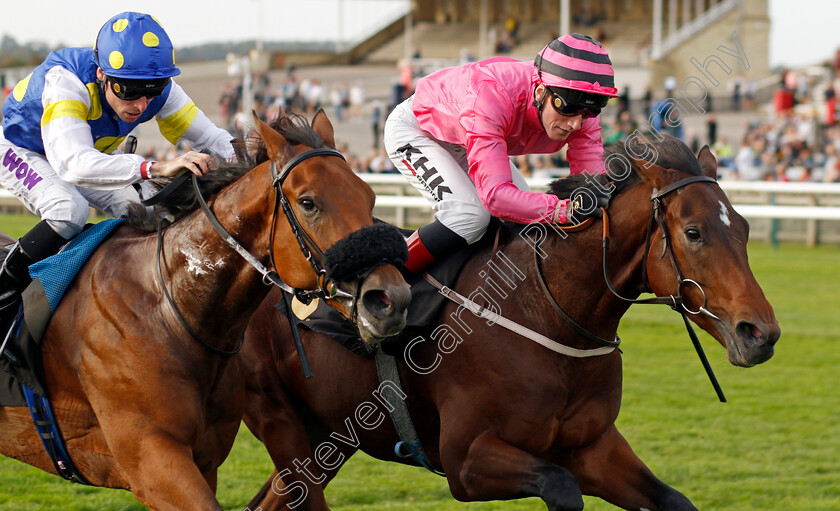 Sons-And-Lovers-0001 
 SONS AND LOVERS (David Egan) beats PLACO (left) in The Virgin Bet Daily Price Boost Maiden Stakes
Newmarket 7 Oct 2023 - Pic Steven Cargill / Racingfotos.com