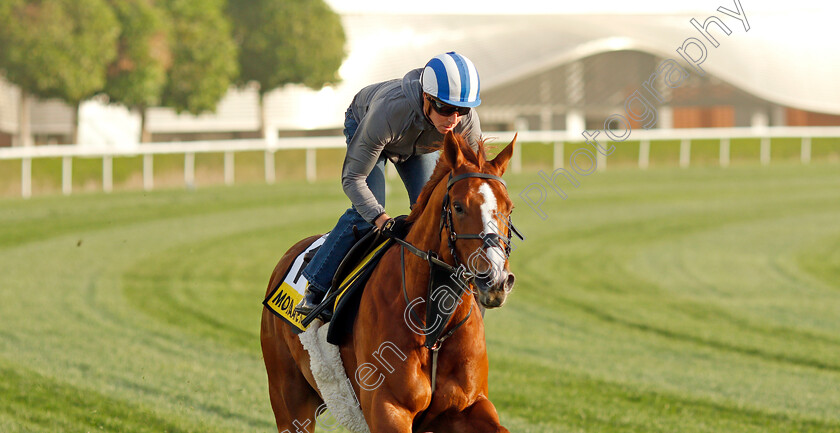 Mohaafeth-0001 
 MOHAAFETH (Jim Crowley) training for The Dubai Turf
Meydan, Dubai, 24 Mar 2022 - Pic Steven Cargill / Racingfotos.com