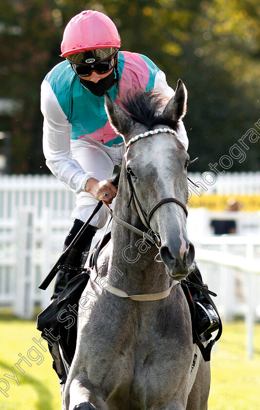 Lucid-Dreamer-0002 
 LUCID DREAMER (Jason Watson) before winning The Dubai Duty Free Of Surprises British EBF Fillies Conditions Stakes
Newbury 18 Sep 2020 - Pic Steven Cargill / Racingfotos.com