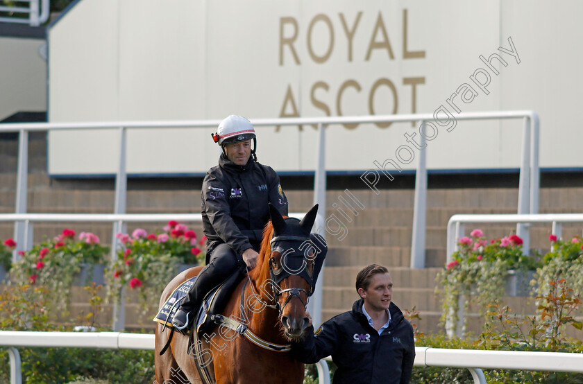 Nature-Strip-0005 
 NATURE STRIP - Australia to Ascot, preparing for the Royal Meeting.
Ascot 10 Jun 2022 - Pic Steven Cargill / Racingfotos.com