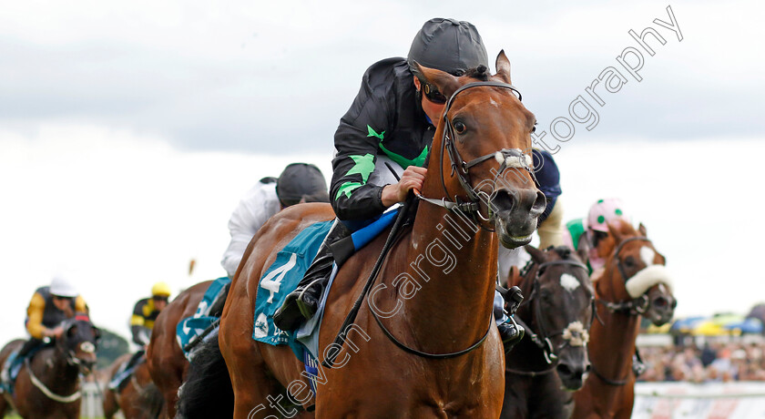 Inquisitively-0002 
 INQUISITIVELY (William Buick) wins The Julia Graves Roses Stakes
York 26 Aug 2023 - Pic Steven Cargill / Racingfotos.com