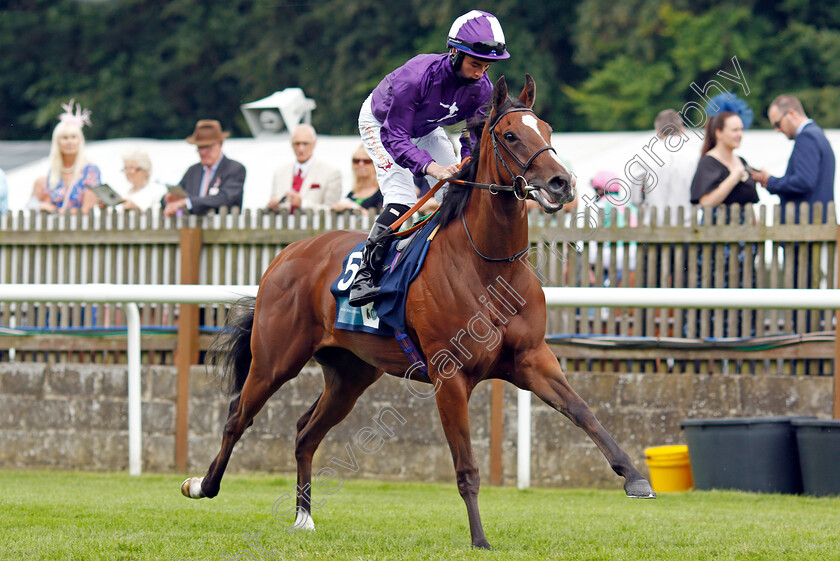 Lovely-Mana-0001 
 LOVELY MANA (Rossa Ryan)
Newmarket 8 Jul21 - Pic Steven Cargill / Racingfotos.com