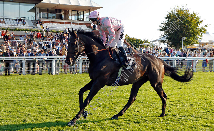 Our-Jester-0001 
 OUR JESTER (Richard Kingscote)
Goodwood 26 Aug 2022 - Pic Steven Cargill / Racingfotos.com