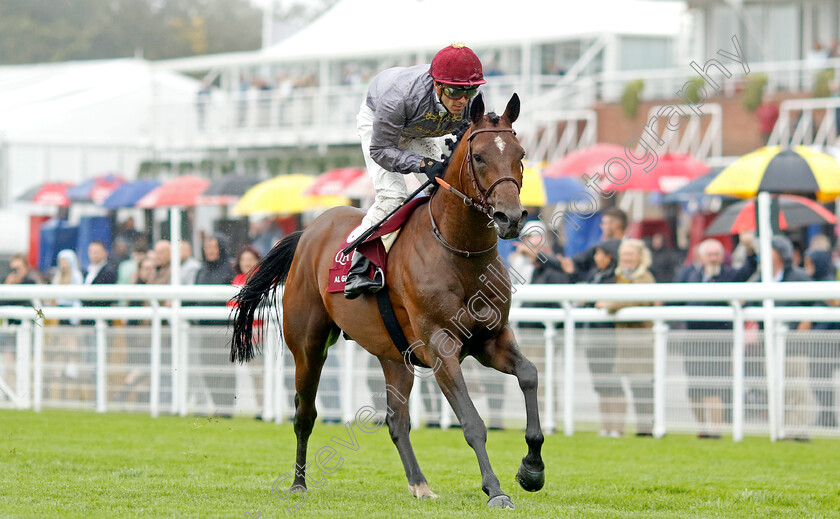 Al-Ghadeer-0002 
 AL GHADEER (Christophe Soumillon) wins The Qatar International Stakes
Goodwood 2 Aug 2023 - Pic Steven Cargill / Racingfotos.com