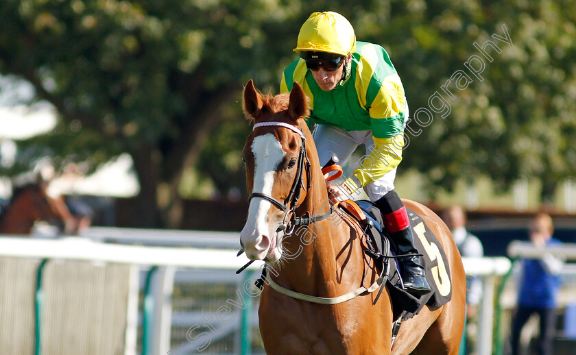 Thomas-Equinas-0001 
 THOMAS EQUINAS (Shane Kelly)
Newmarket 24 Sep 2021 - Pic Steven Cargill / Racingfotos.com