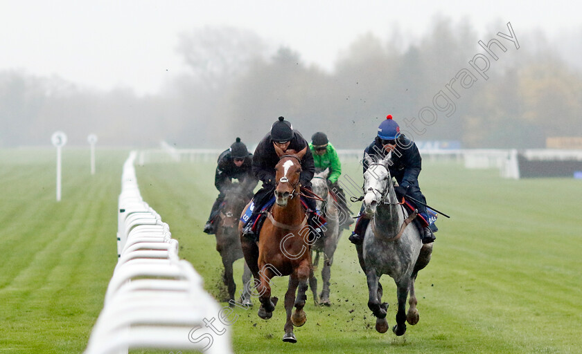 Caldwell-Potter-and-Captain-Teague-0004 
 CALDWELL POTTER (right) and CAPTAIN TEAGUE (left)
Coral Gold Cup gallops morning Newbury 19 Nov 20234 - Pic Steven Cargill / Racingfotos.com