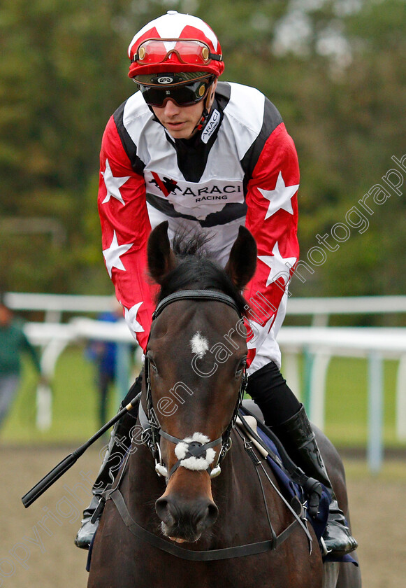 Incinerator-0001 
 INCINERATOR (James Doyle) 
Lingfield 3 Oct 2019 - Pic Steven Cargill / Racingfotos.com