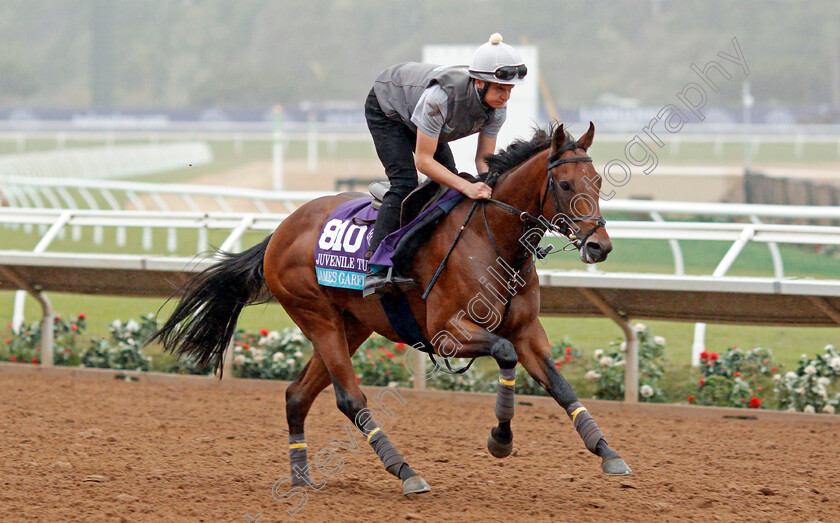 James-Garfield-0001 
 JAMES GARFIELD training for The Breeders' Cup Juvenile Turf at Del Mar USA 31 Oct 2017 - Pic Steven Cargill / Racingfotos.com