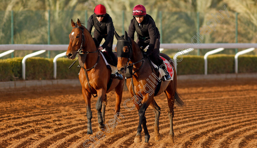 Tower-Of-London-and-Luxembourg-0002 
 TOWER OF LONDON (right) with LUXEMBOURG (left) training at The Saudi Cup
King Abdulaziz Racecourse, Saudi Arabia 20 Feb 2024 - Pic Steven Cargill / Racingfotos.com